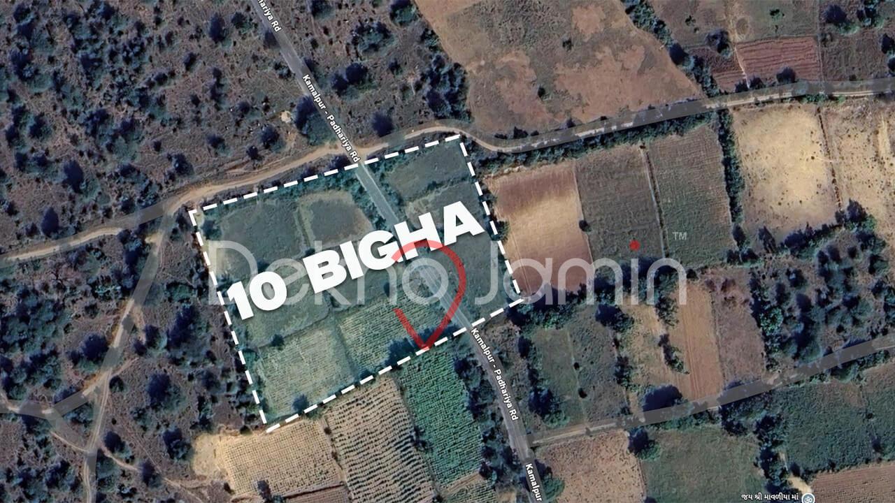 Land for Sale in Padhariya Mahesana