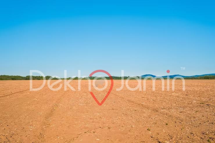24 Vigha Land For Sale