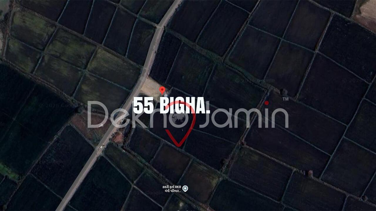 Land for Sale in Kauka Dholka