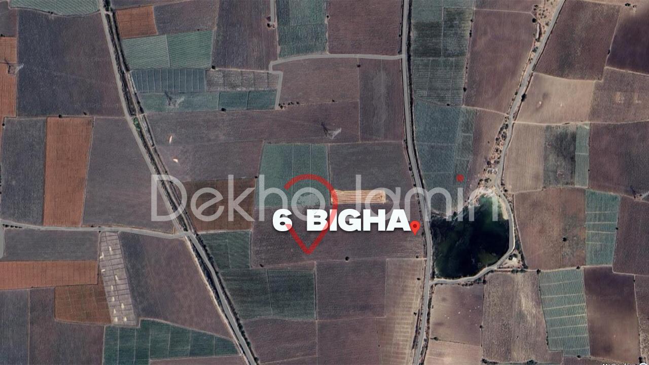 Land for Sale in Bhojva Viramgam