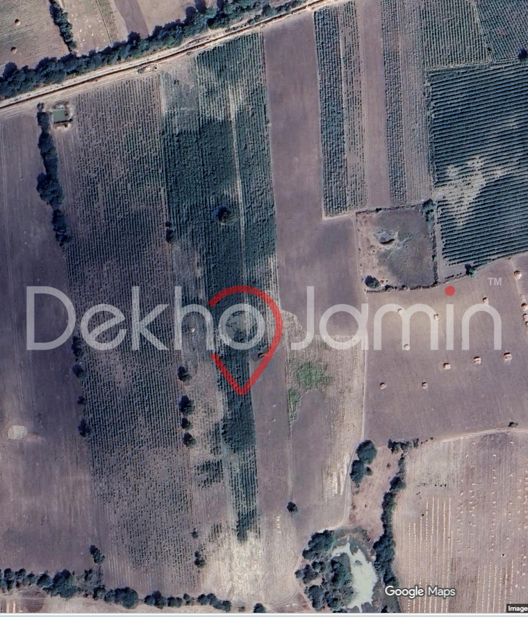 7.5 Vigha Agricultural land in Viththlapur, Ta. Mandal
