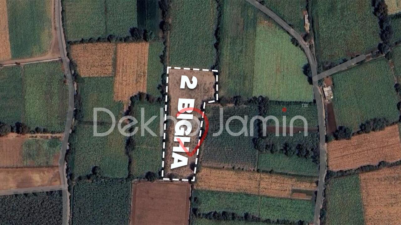 Land for Sale in Natwar Nagar Savli