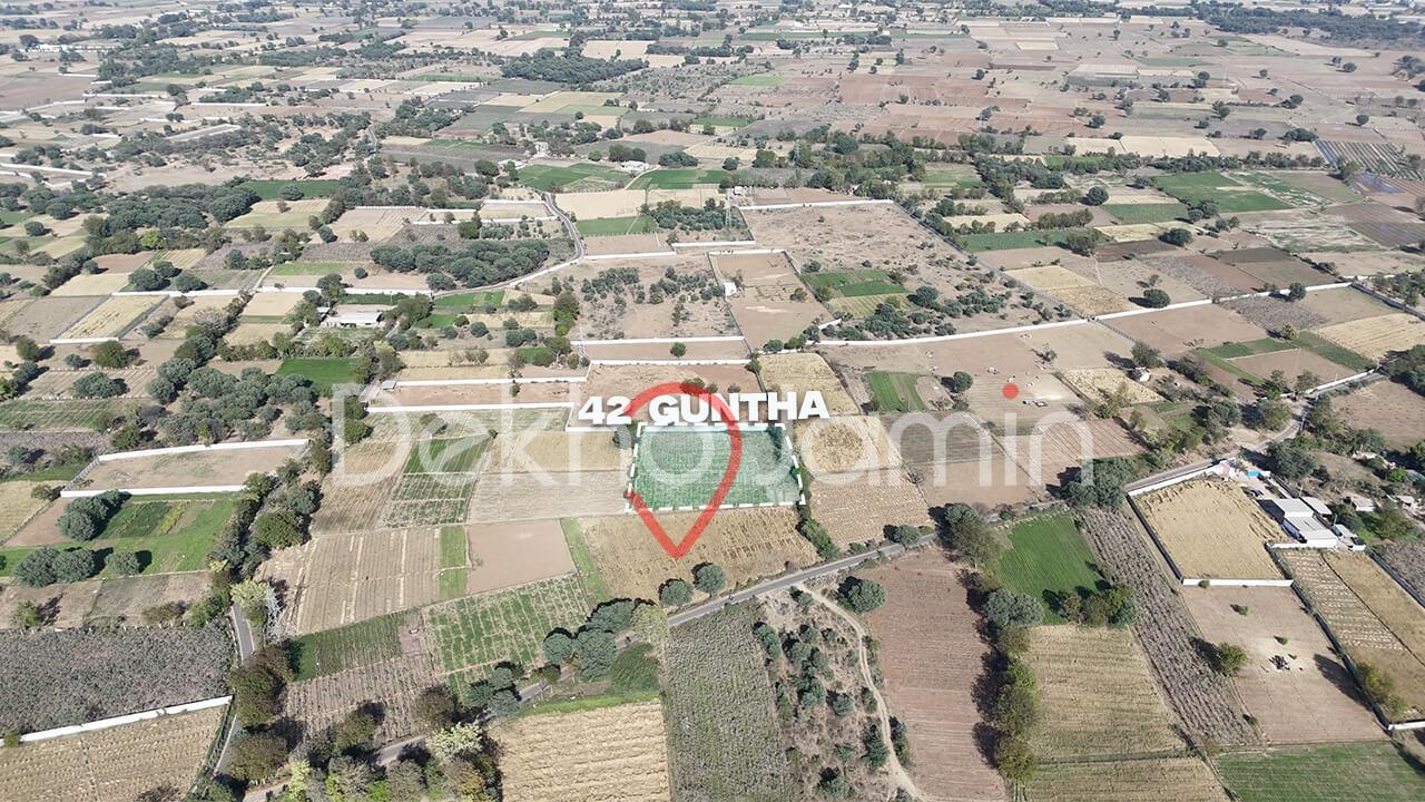 Agriculture Land for Sale in Adraj Moti