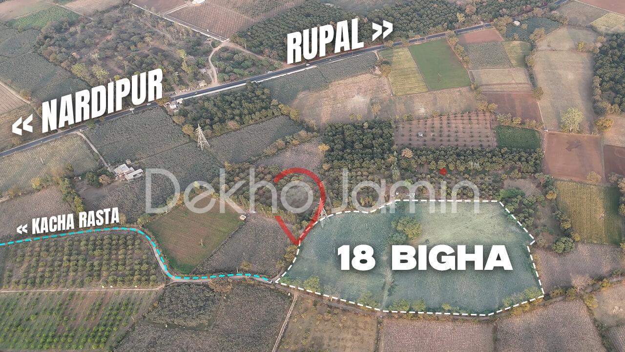 Agriculture Land for Sale in Nardipur