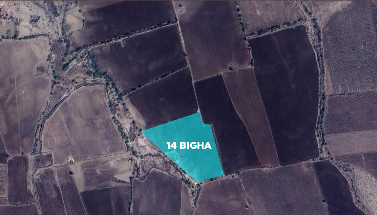 14 Bigha Agriculture Land for Sale in Surendranagar Chotila Highway