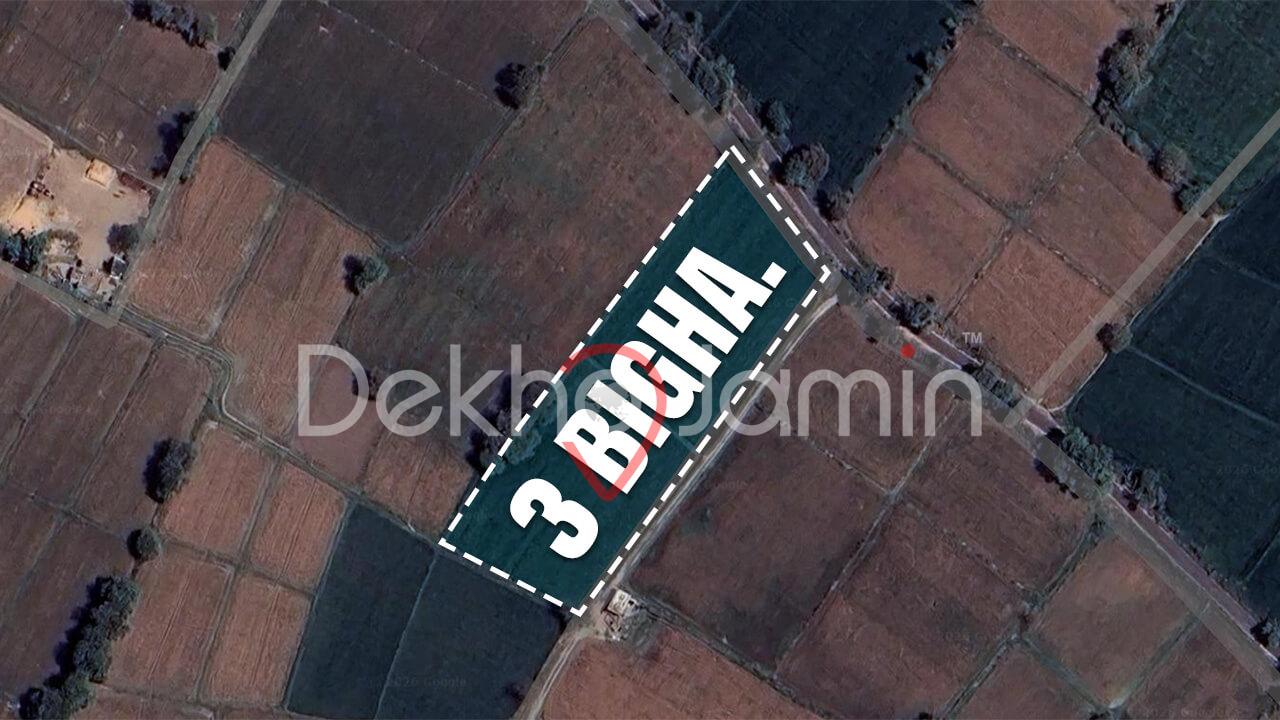 Land for Sale In Bavla