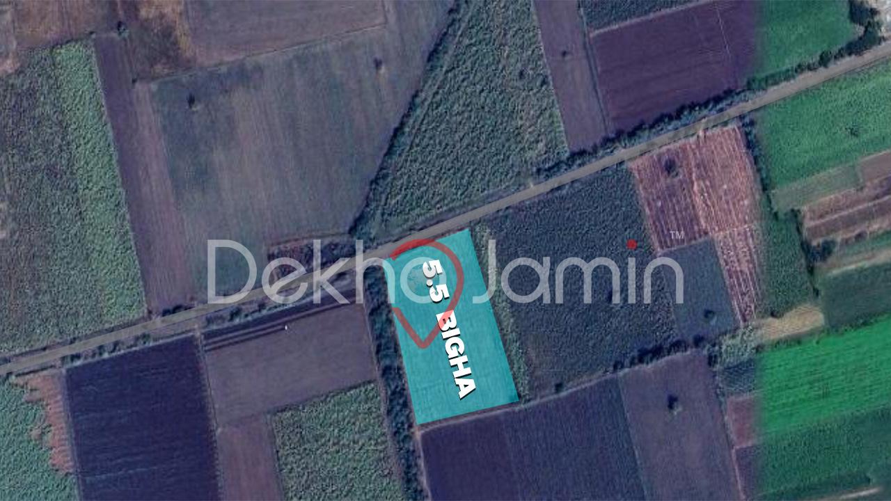 5.5 Vigha Agriculture Land Sale in Valner Hansot Bharuch