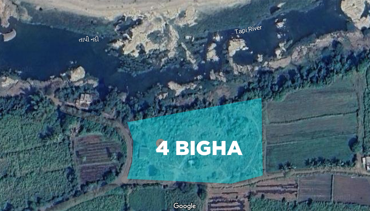4 Bigha Agriculture Land for Sale Jakhla Mandvi near Surat