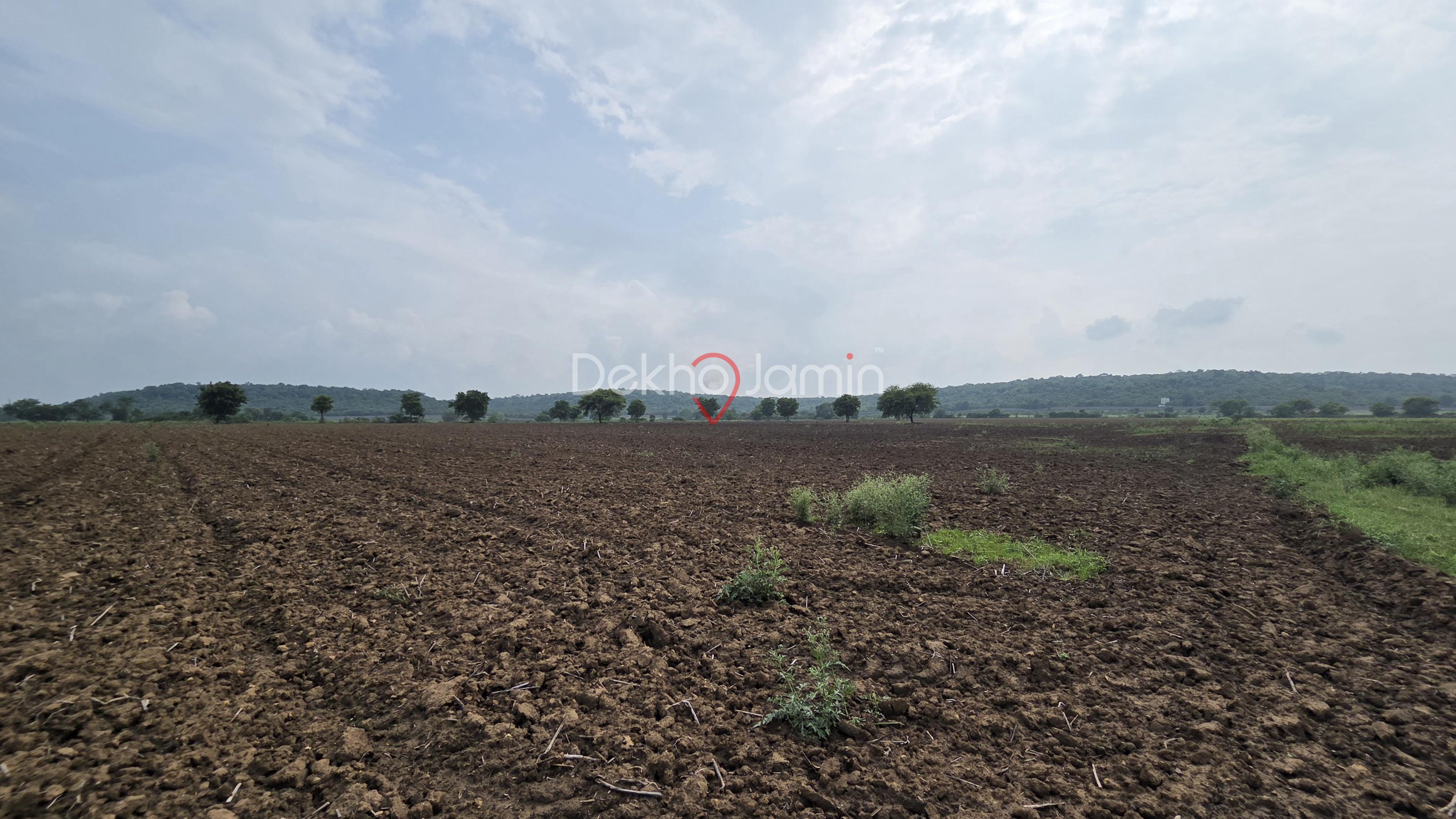 40 Acres single parcel of land adjoining Madhav Tiger Reserve, Shivpuri, M.P.