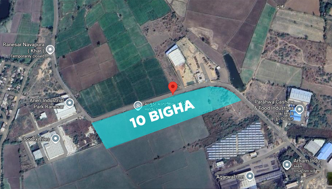 10 Bigha Agriculture Land for Sale Ranesar Bavla Road Touch
