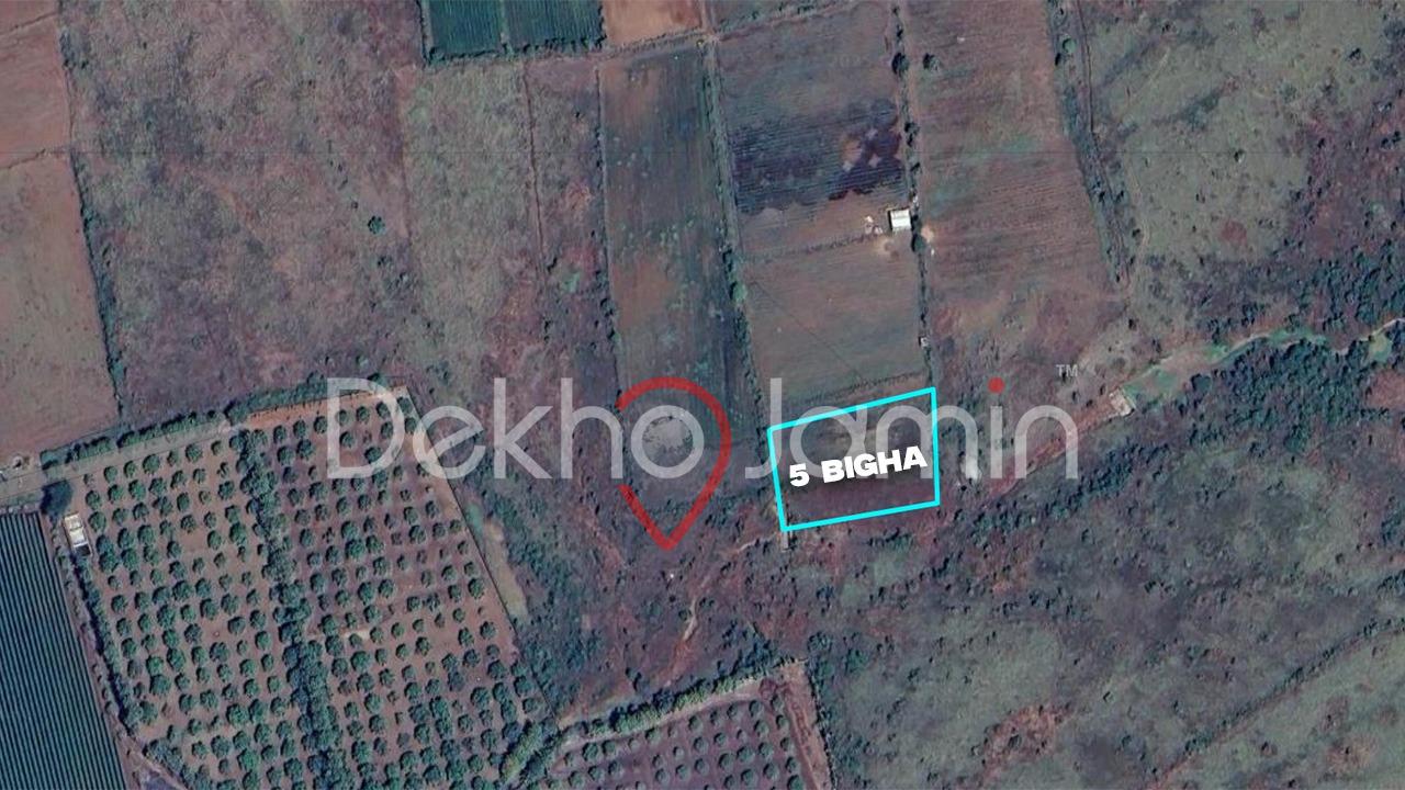 5 Vigha Agricultur Land For Sale In Ambalgadh Junagadh