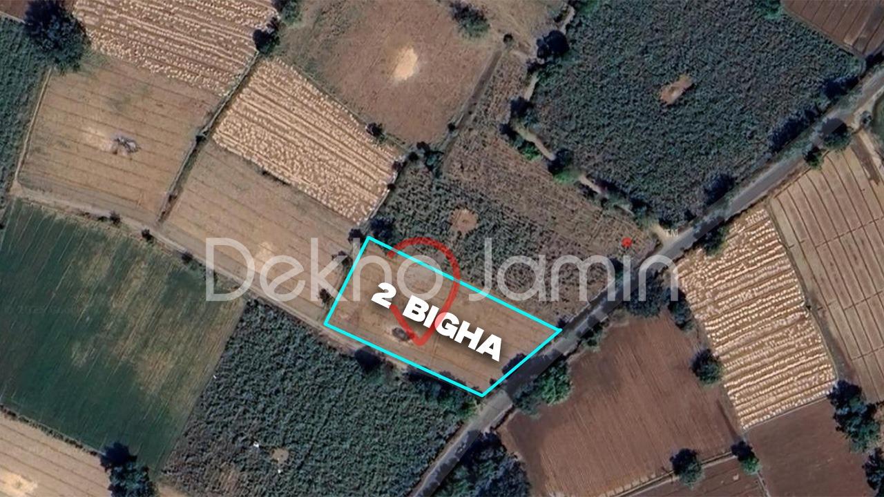 2 Vigha Agriculture Land For Sale In Mansa Gandhinagar