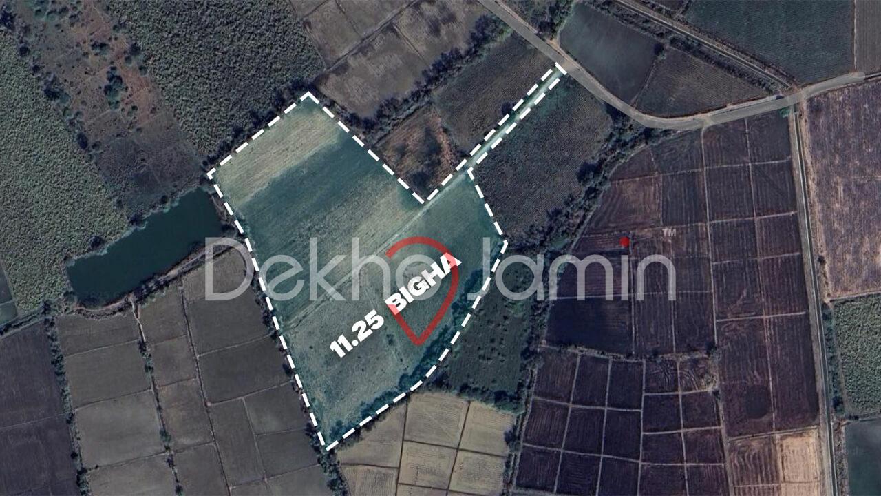 Land for Sale Nandav Mangrol