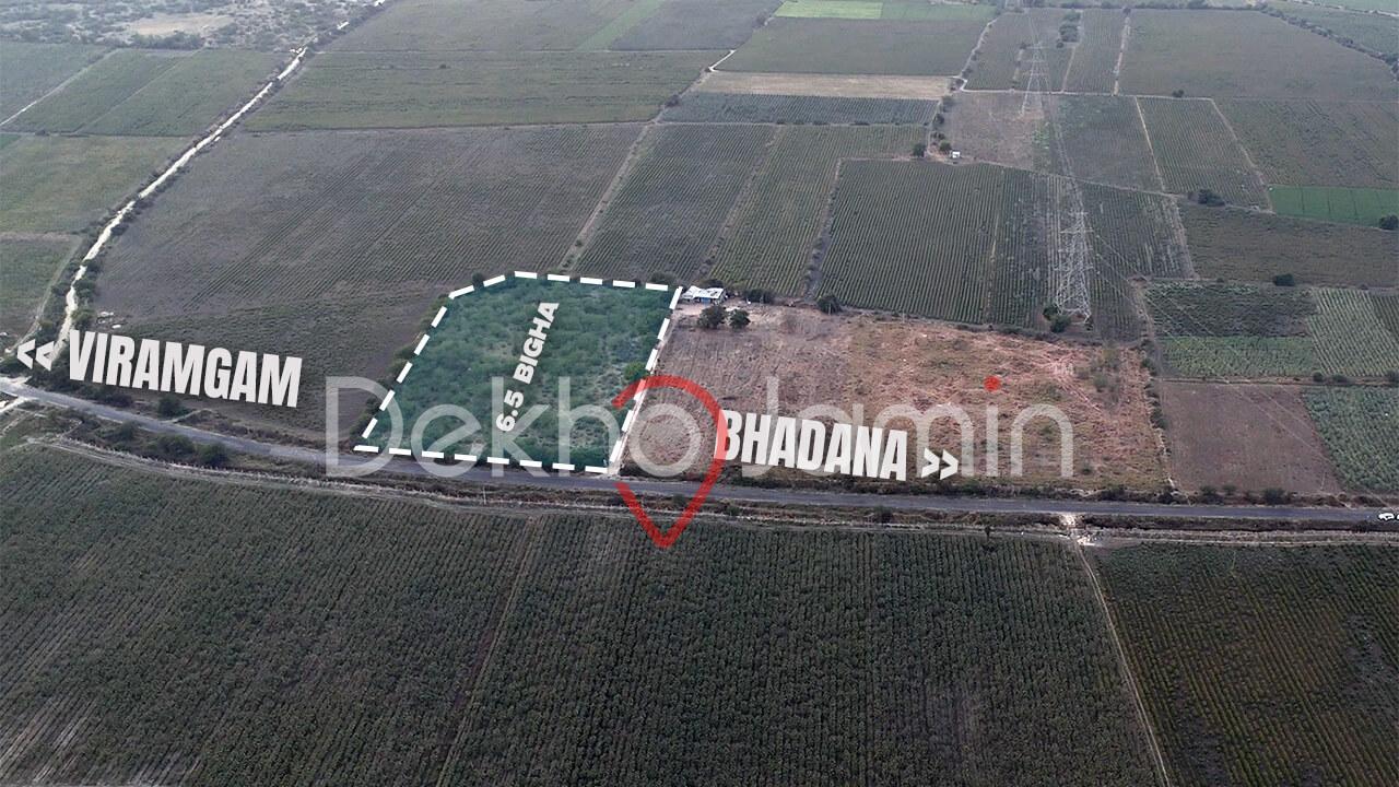 Agriculture Land for Sale in Viramgam