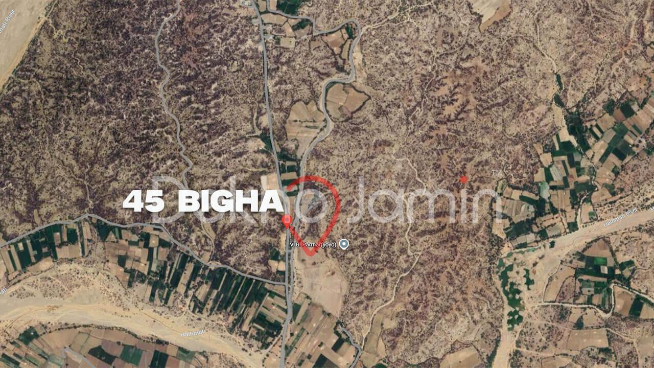 Land for Sale in Ged