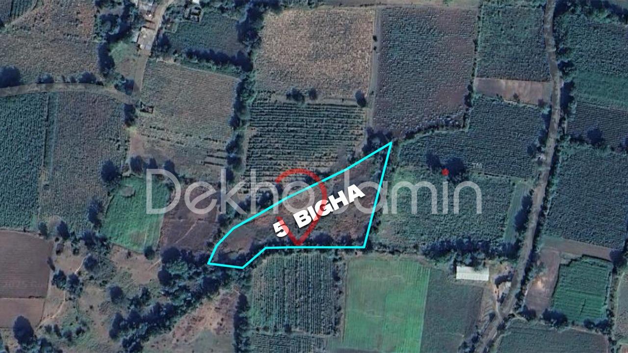 5 Vigha Agriculture Land For Sell In Vaghbod halol