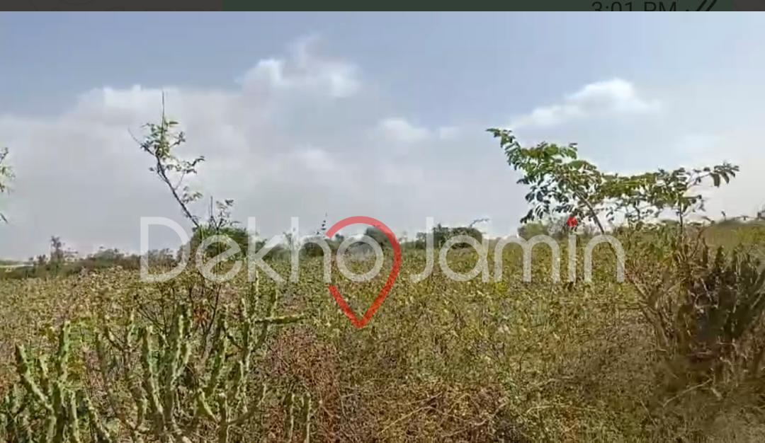 FOR SALE LAND MOJE : LAKRODA, TA : MANSA ,   2.86 VIGHA NALIYA TOUCH CANAL THI  500 MT APPROX