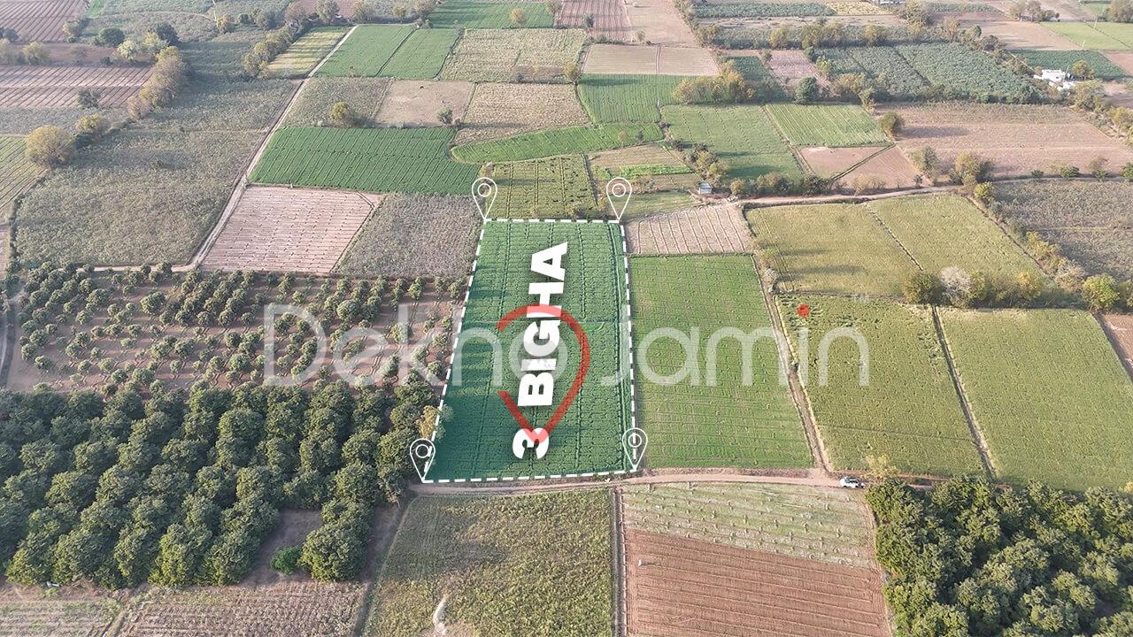 Land for Sale Dingucha Kalol