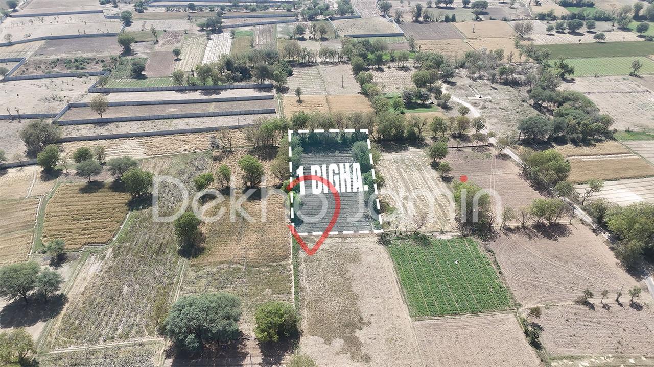 1 Vigha Land for Sale Adraj Moti