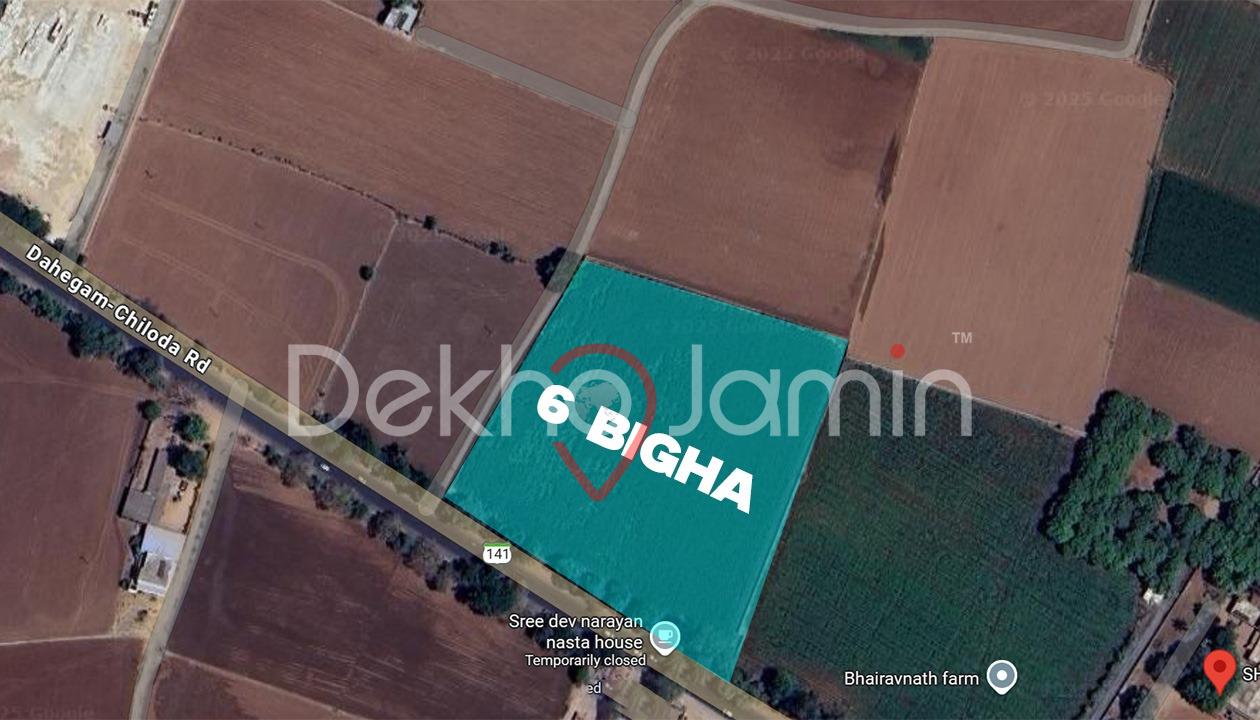 6 Vigha Agriculture Land For Sell In Mangodi