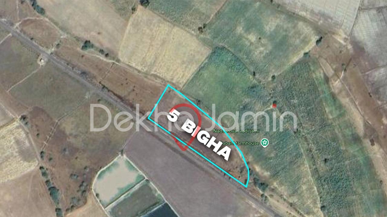 5 Vigha Agriculture Land For Sale In Kayla Viramgam