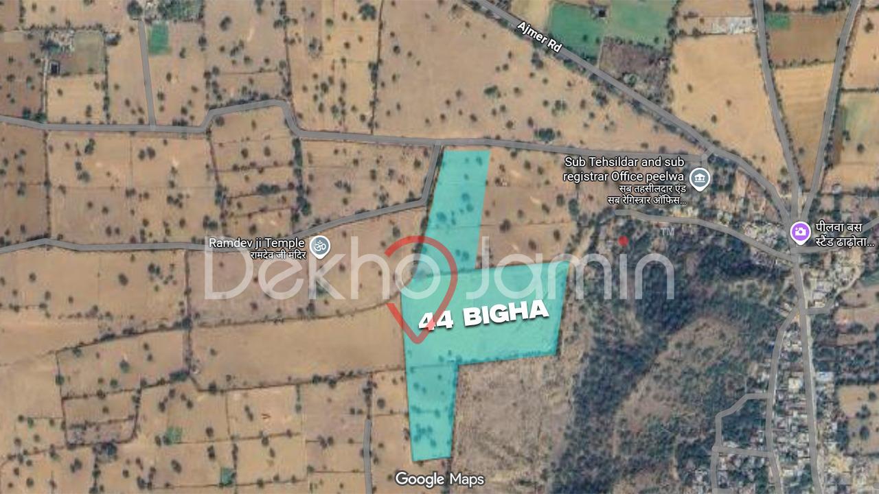 44 Bigha Agriculture Land For Sell In Peelwa, rajasthan