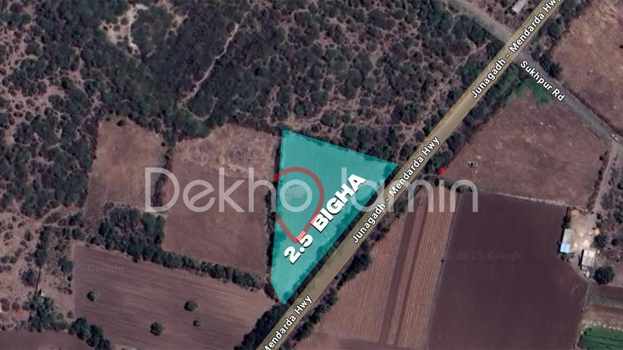 Agriculture Land For Sell In Navagam, Junagadh