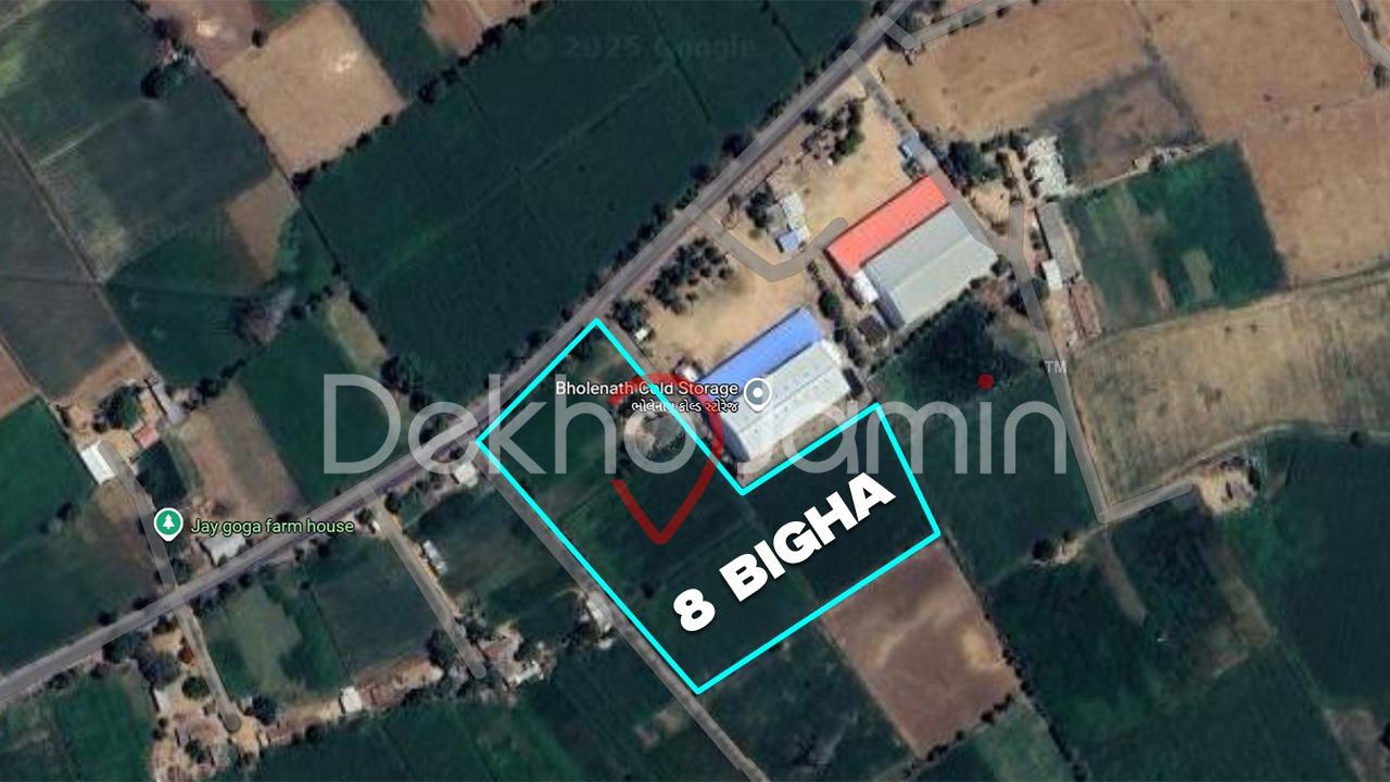 8 Vigha Agriculture Land For Sell In Kansari