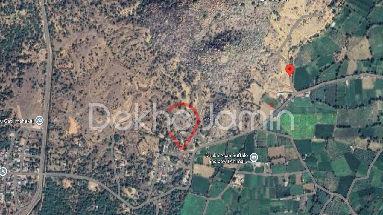 23 Vigha Agriculture Land For Sale In Kaleda Vadgam