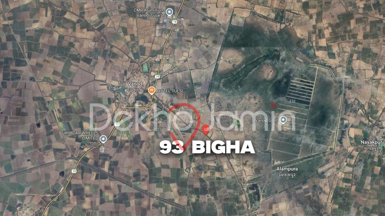 93 Vigha Agriculture Land For Sale In Vanod Dasada