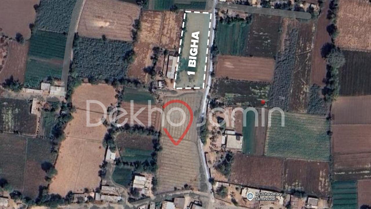 Land for Sale in Parsa Gandhinagar