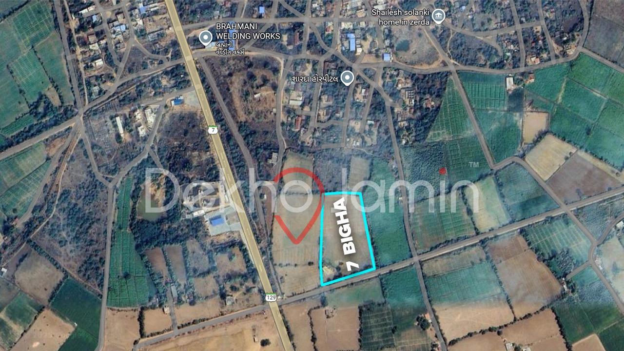 7 Vigha Agriculture Land For Sale In Jherda Deesa