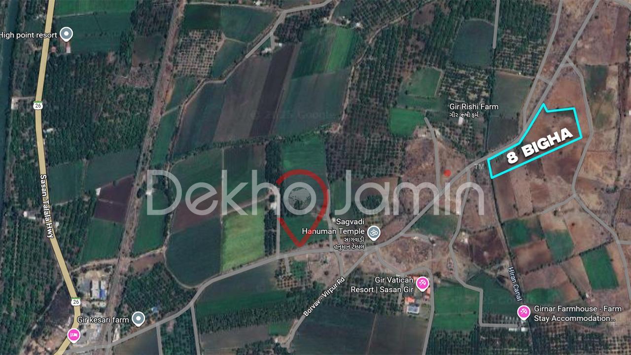 8 Vigha Agriculture Land For Sale In Borvav Talala