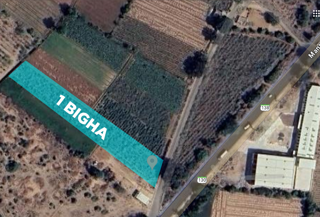 1 Bigha Agriculture Land for Sale Patanpura Mansa Road Touch