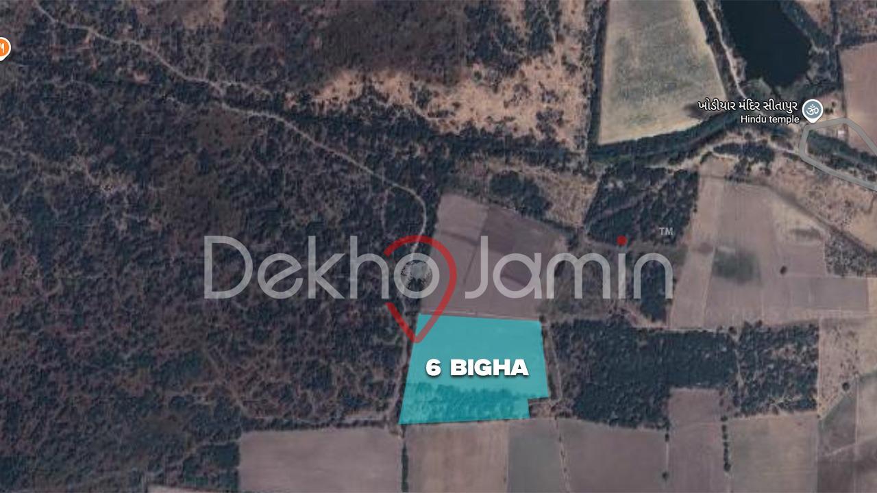 6 Vigha Agriculture Land For Sell In Sitapur