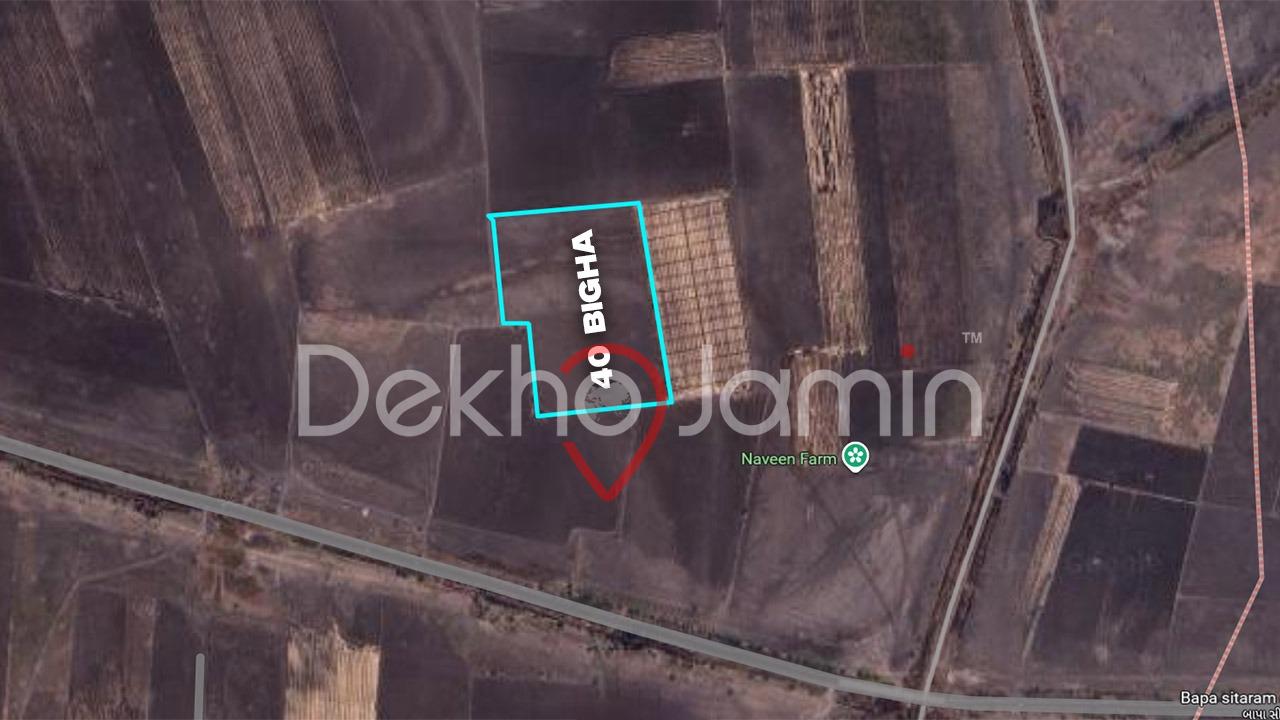 40 Vigha Agriculture Land For Sale In Vadhela Barwala