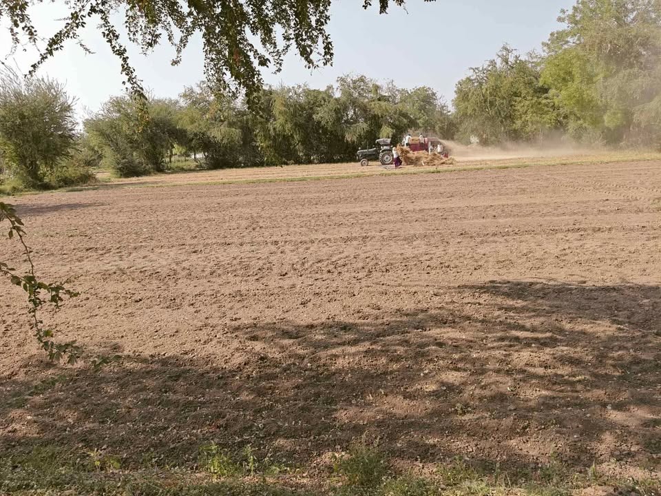 28 Guntha Agriculture Land Sale Bavra, Mahemdavad