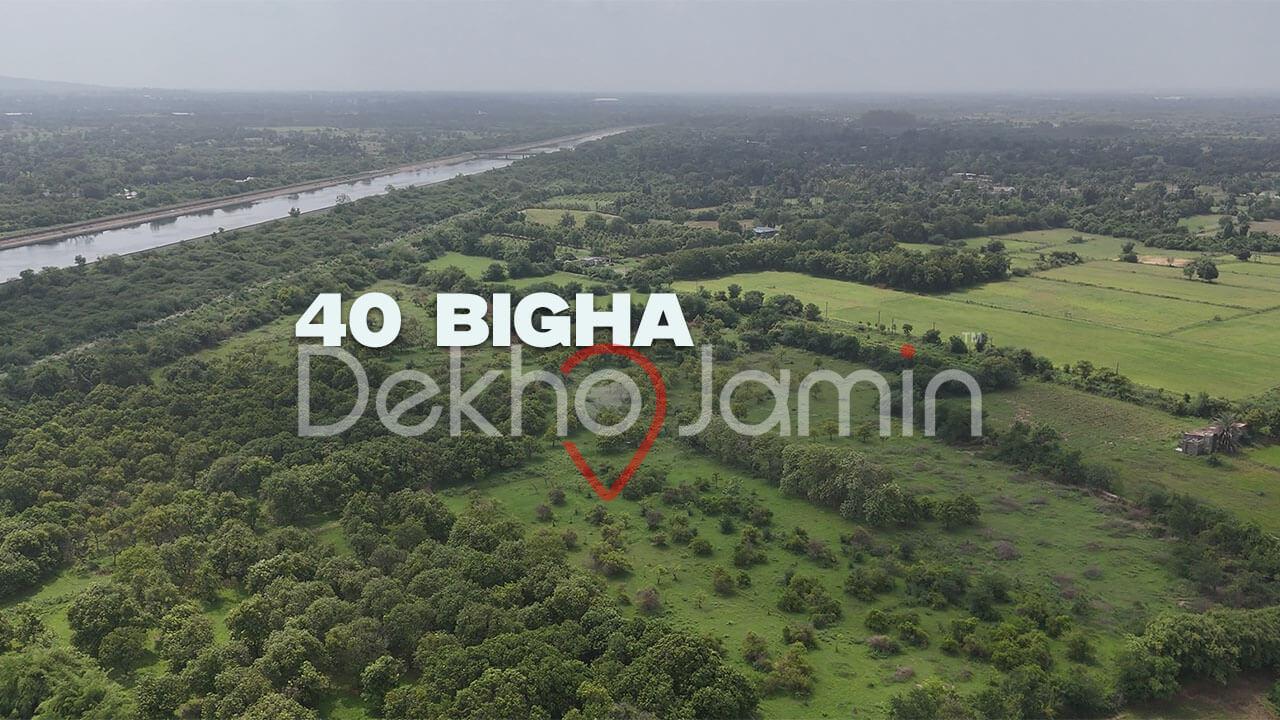 Land for Sale in Khandiwada