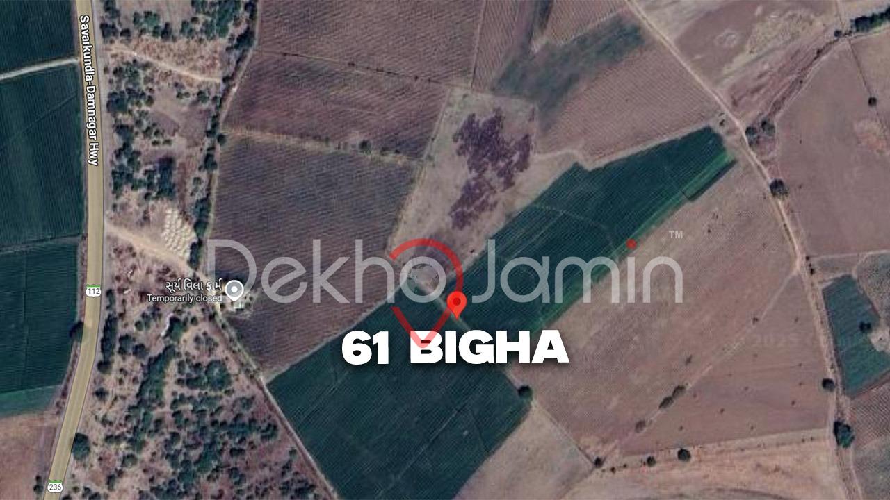 61 Vigha Agriculture Land For Sale In Lilia Nana Amreli