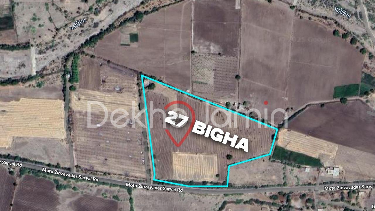 27 Vigha Agriculture Land For Sale In Zinzavadar Botad