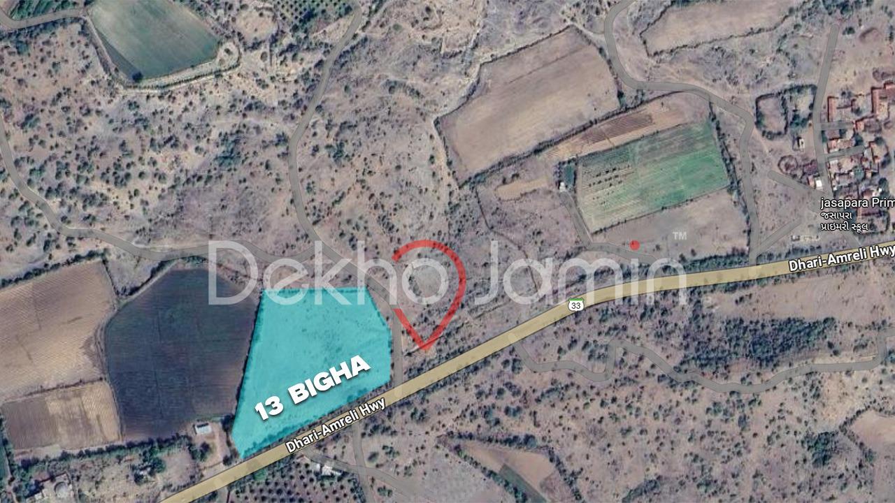 13 Vigha Agriculture Land For Sell In Jasapara, Dhari