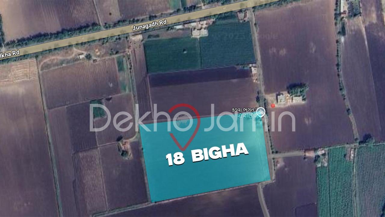 18 Vigha Agriculture Land For Sell In Khadiya, Junagadh