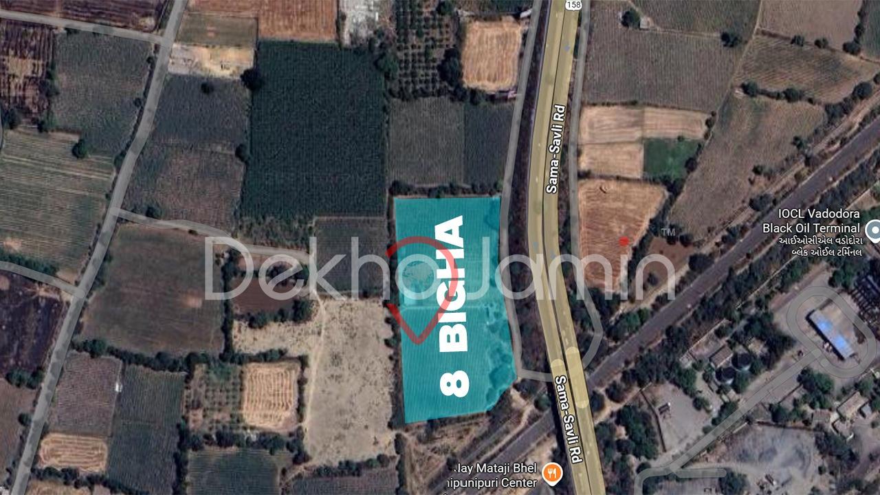 8 Vigha Agriculture Land For Sell In Asoj