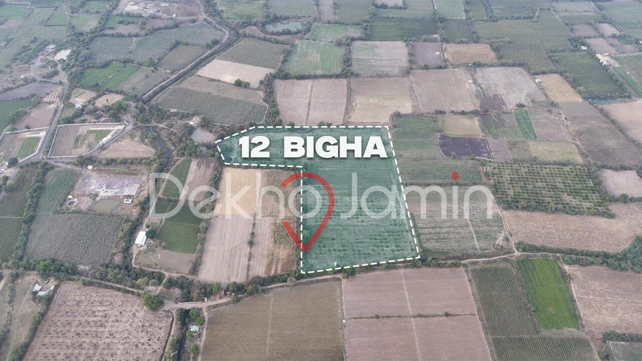 Land for Sale in Sareja Vadodara