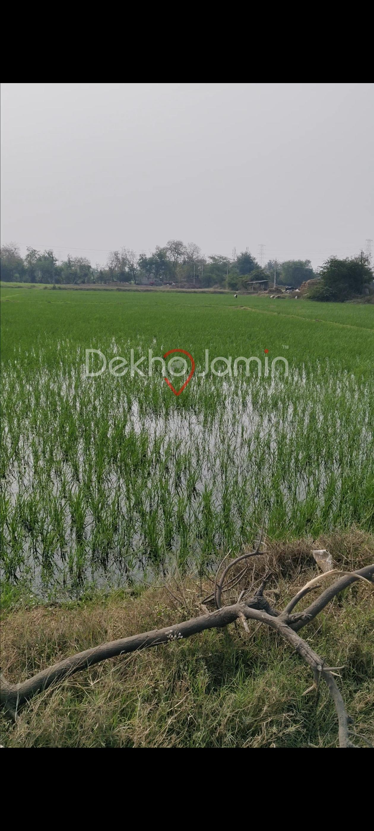 New apartment nice view - Image 1