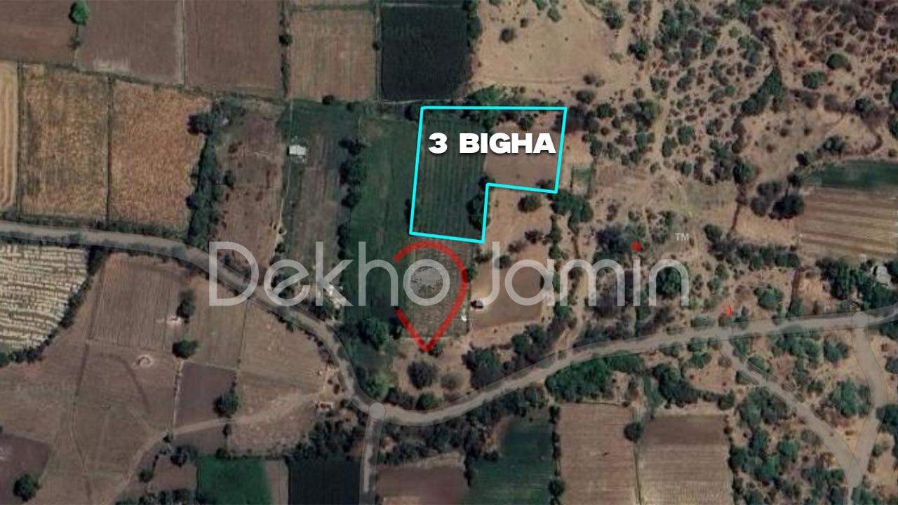 3 Vigha Agriculture Land For Sell In Degam