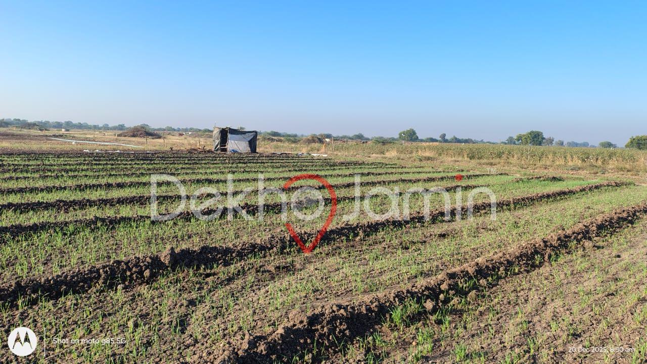 70 vigha agriculture land sell near dholera sir area