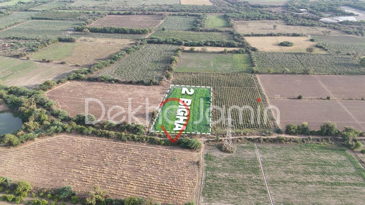 Land for Sale in Sareja Padra