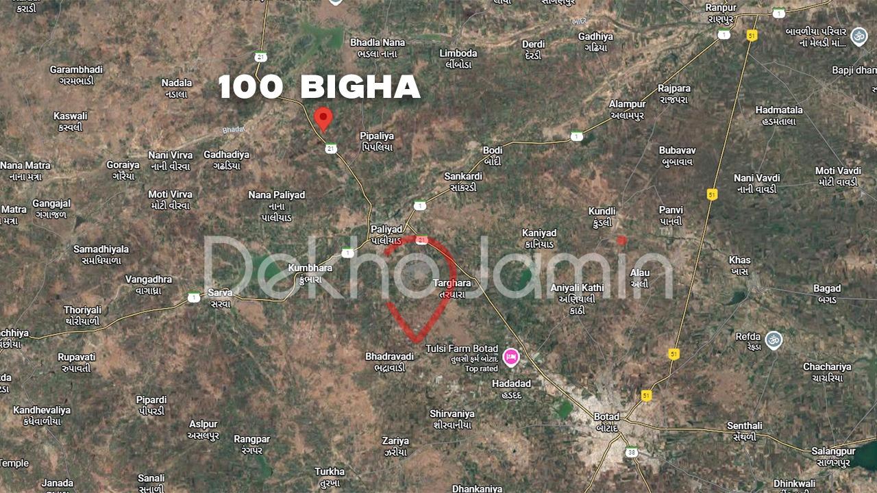 100 Bigha Land Sale In Gujarat
