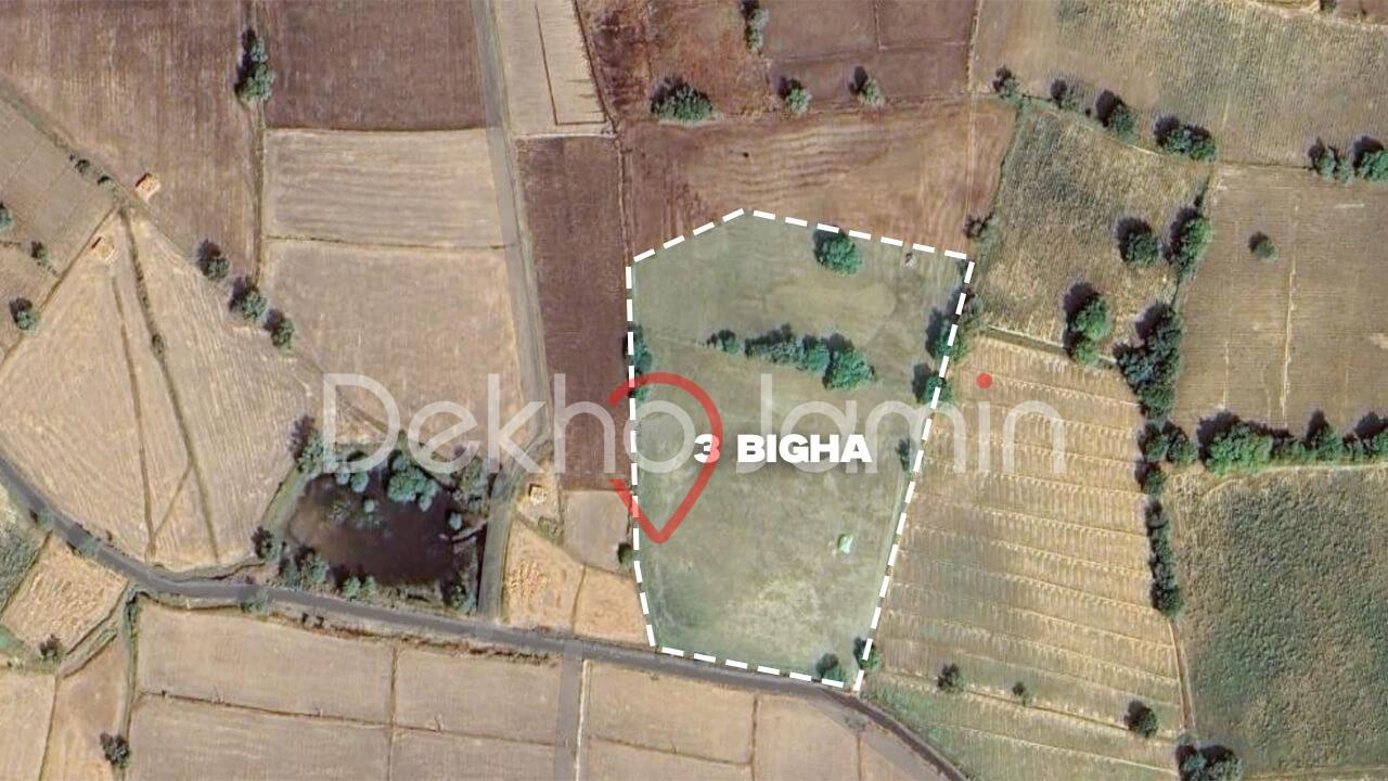 Agriculture Land Sale in Jamp Sanand